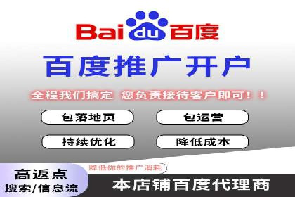 行业领先SEM托管代运营案例